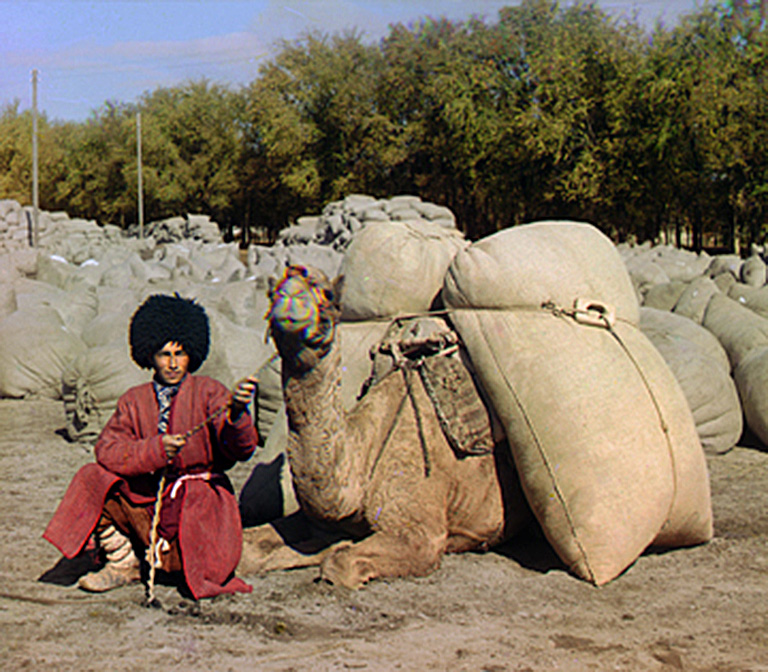 Russian tribal herdsman with camel in his camp